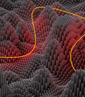 5e35e668-92e5-4774-8010-fc1be1a7dd18